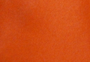 Burnt Orange Pocket Square TPH1885/4