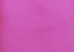 Lipstick Pink Pocket Square TPH1886/3