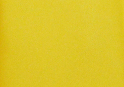 Yellow Pocket Square TPH1885/2